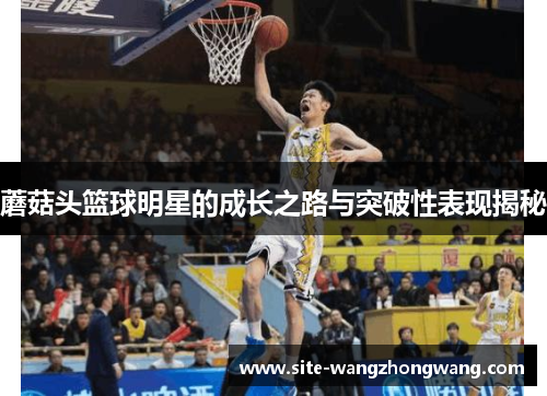 蘑菇头篮球明星的成长之路与突破性表现揭秘